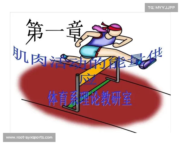 传受互动增强,用户生成内容丰富体育生态